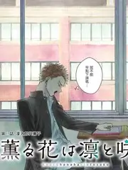 极限拆解 竞技综艺在线观看